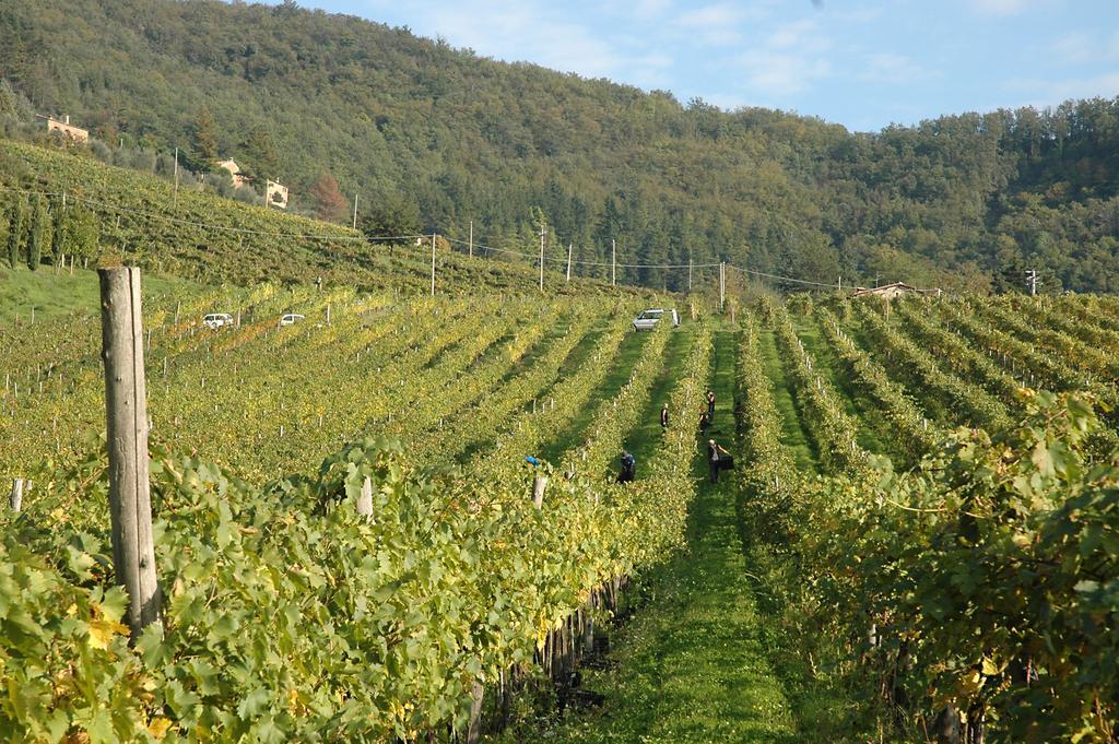 Fattoria Il Lago Dicomano Buitenkant foto